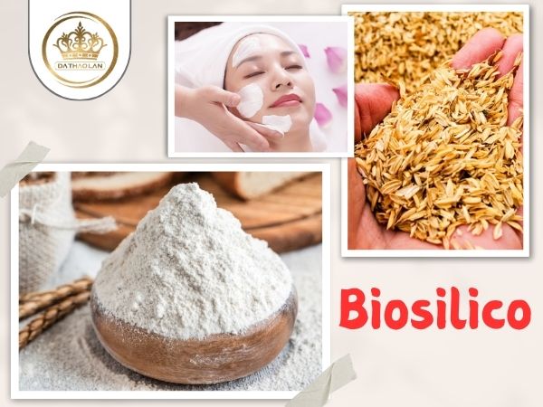 Biosilico - vật liệu nano siêu nhỏ, bền vững và đa năng