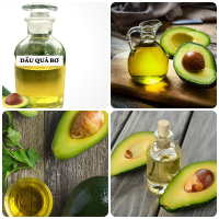 Dầu Quả Bơ – Cung Cấp Dầu Quả Bơ Giá Sỉ Tốt Nhất Thị Trường