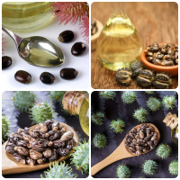 Dầu Thầu Dầu – Cung Cấp Dầu Thầu Dầu Giá Sỉ Chất Lượng Tốt Nhất