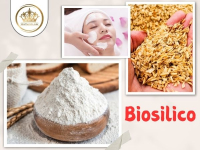Biosilico: Nguyên liệu mỹ phẩm Nano Silica chiết xuất trấu cao cấp