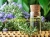 Tinh dầu hương thảo giá sỉ – Cung cấp tinh dầu hương thảo giá sỉ tốt nhất thị trường